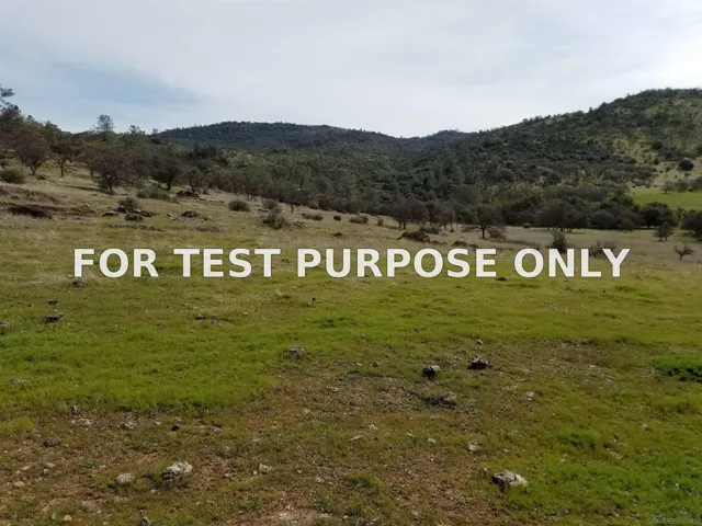 Demo/Test Data 0314 Carmen Valley Road, Copperopolis, Ca 95228