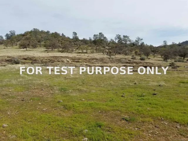 Demo/Test Data 0314 Carmen Valley Road, Copperopolis, Ca 95228