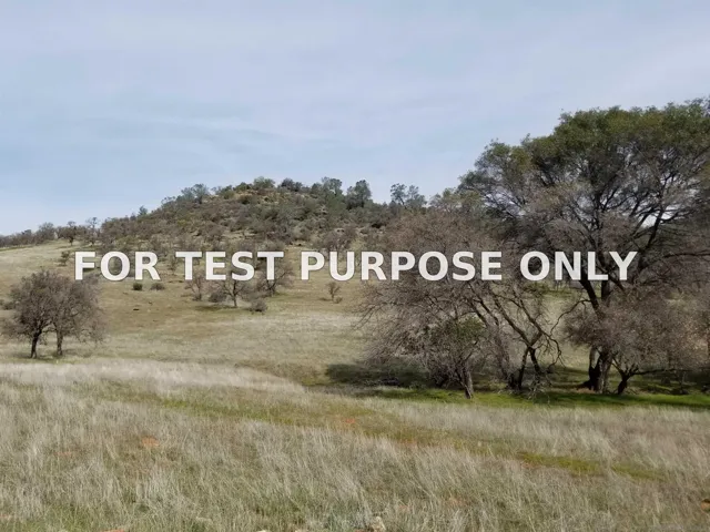 Demo/Test Data 0314 Carmen Valley Road, Copperopolis, Ca 95228