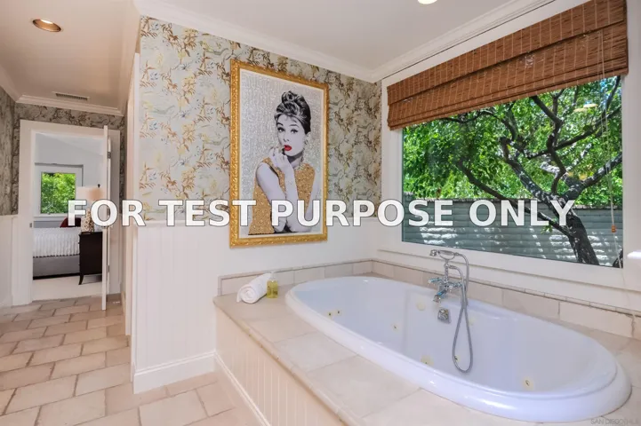 Demo/Test Data 6571 Mimulus, Rancho Santa Fe, Ca 92067