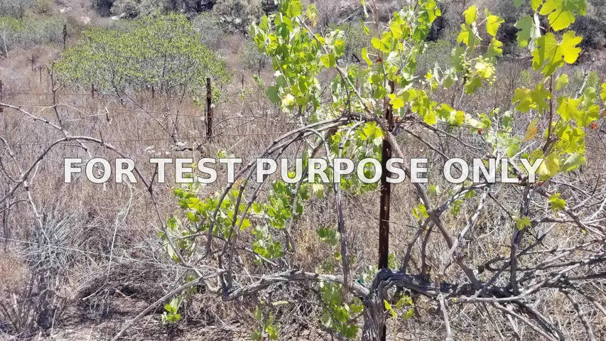 Demo/Test Data Lot 1, 2, 3 Sw Boulder Mt. Rd Unit 1