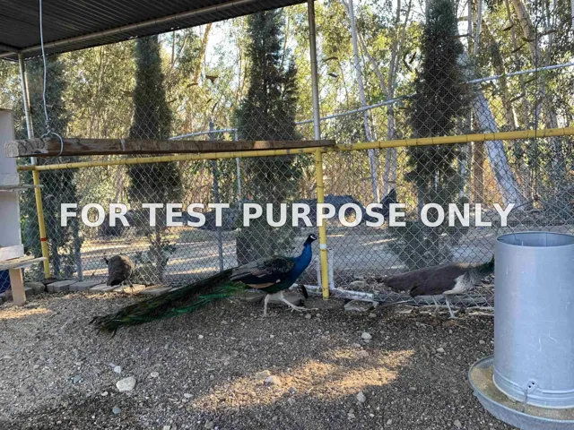 Demo/Test Data 5424 Rainbow Creek Rd Unit 3, Rainbow, Ca 92028