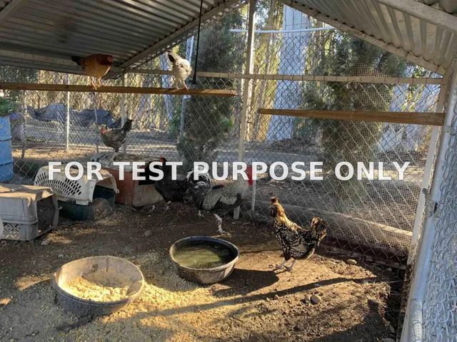 Demo/Test Data 5424 Rainbow Creek Rd Unit 3, Rainbow, Ca 92028