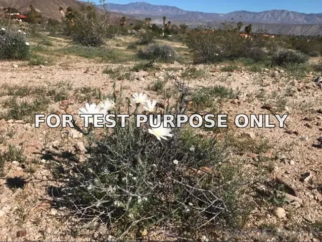 Demo/Test Data 196 Verbena Dr Unit 196, Borrego Springs, Ca 92004