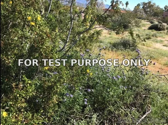 Demo/Test Data 196 Verbena Dr Unit 196, Borrego Springs, Ca 92004