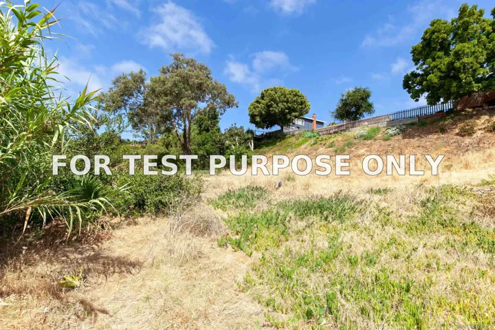Demo/Test Data 3607 Oleander Drive, San Diego, Ca 92106