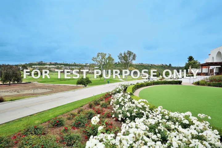 Demo/Test Data 2003 Costa Del Mar Rd Unit 654, Carlsbad, Ca 92009