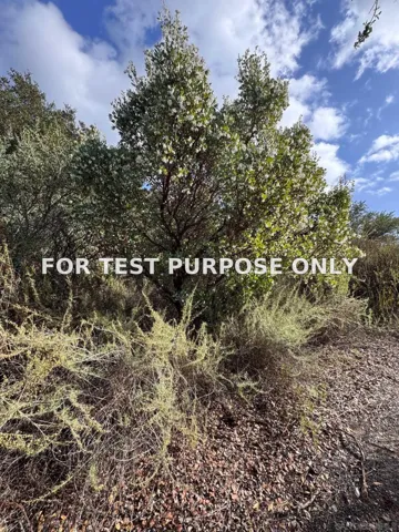 Demo/Test Data 13903 Wildcat Canyon Rd, Lakeside, Ca 92040