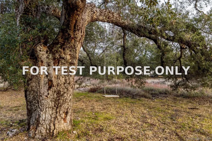 Demo/Test Data 3253 Pine Hills Rd, Julian, Ca 92036