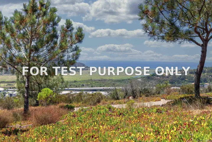 Demo/Test Data 3811 Via Del Mar, San Diego, Ca 92130