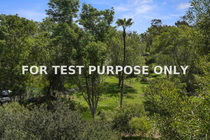 Demo/Test Data 1363 Evergreen Dr, Cardiff, Ca 92007