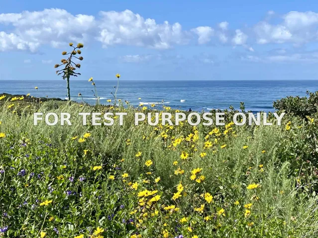 Demo/Test Data 936 Cornish, San Diego, Ca 92107