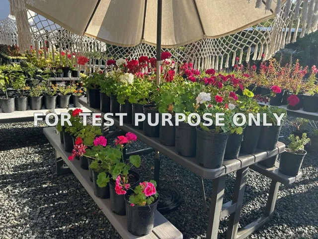 Demo/Test Data 48660 Sycamore Fall Unit 983b4, Aguanga, Ca 92536