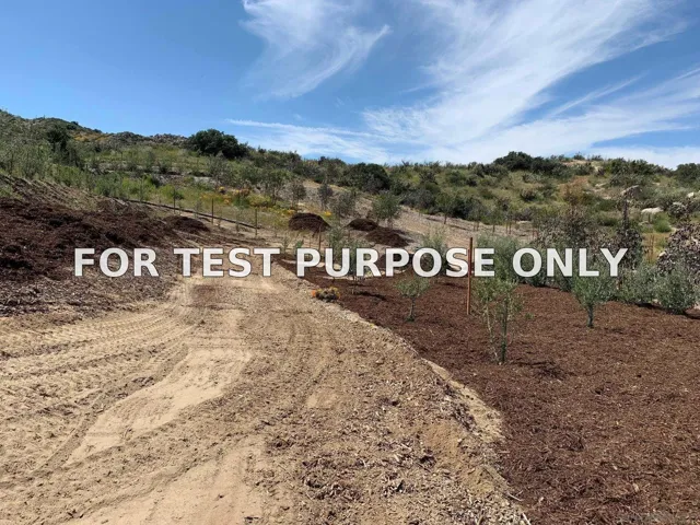 Demo/Test Data 48660 Sycamore Fall Unit 983b4, Aguanga, Ca 92536