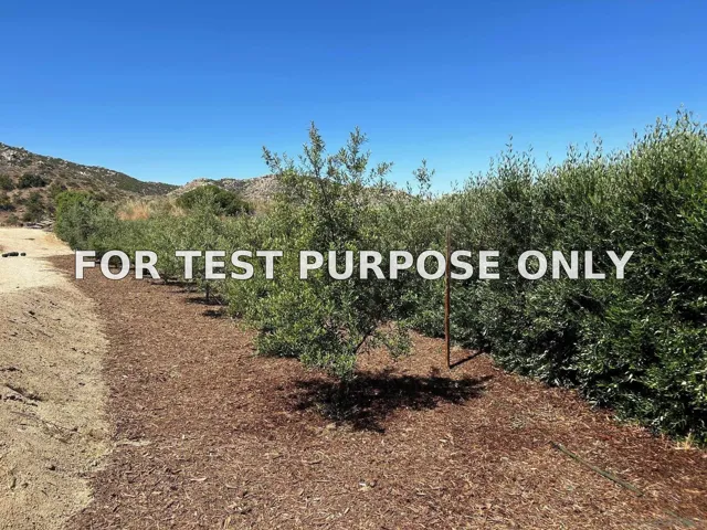 Demo/Test Data 48660 Sycamore Fall Unit 983b4, Aguanga, Ca 92536