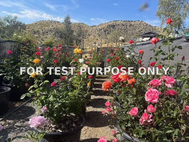 Demo/Test Data 48660 Sycamore Fall Unit 983b4, Aguanga, Ca 92536