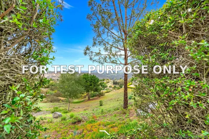 Demo/Test Data 28983 Mountain Meadow Rd, Escondido, Ca 92026