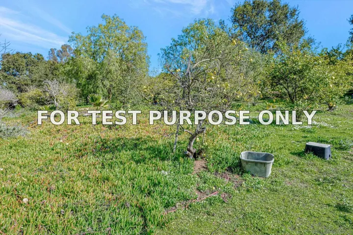 Demo/Test Data 1761 Winterwarm Dr, Fallbrook, Ca 92028