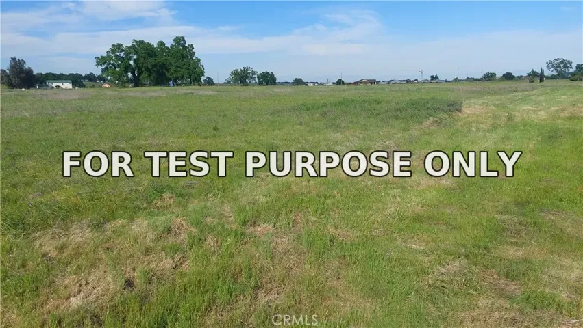 Demo/Test Data 4250 Osborn Road, Flournoy, Ca 96029