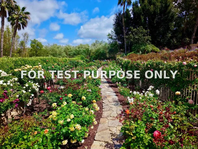 Demo/Test Data 17037 El Mirador, Rancho Santa Fe, Ca 92067