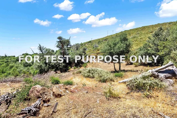 Demo/Test Data 0 Mile High Rd Unit 0, Julian, Ca 92036