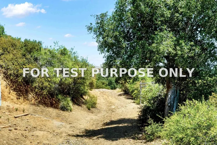 Demo/Test Data 0 Mile High Rd Unit 0, Julian, Ca 92036
