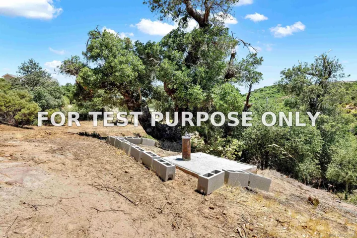 Demo/Test Data 0 Mile High Rd Unit 0, Julian, Ca 92036