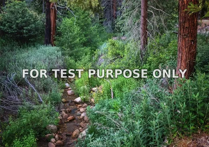Demo/Test Data 1 Fredalba Road, Running Springs, CA 92382