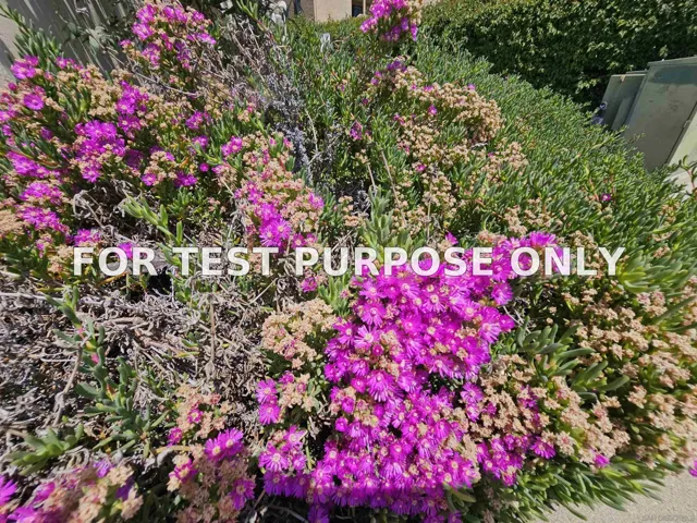 Demo/Test Data 5885 El Cajon Blvd Unit 214, San Diego, CA 92115