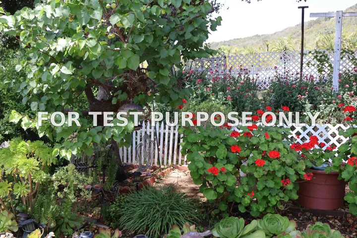 Demo/Test Data 4747 Oak Crest Unit 48, Fallbrook, CA 92028