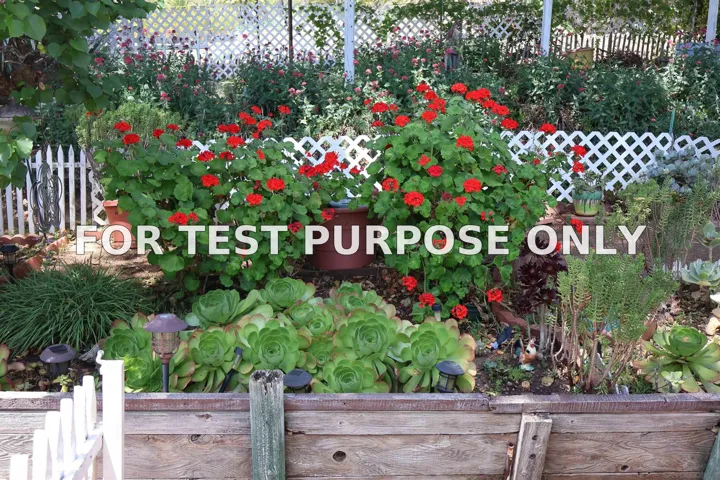 Demo/Test Data 4747 Oak Crest Unit 48, Fallbrook, CA 92028