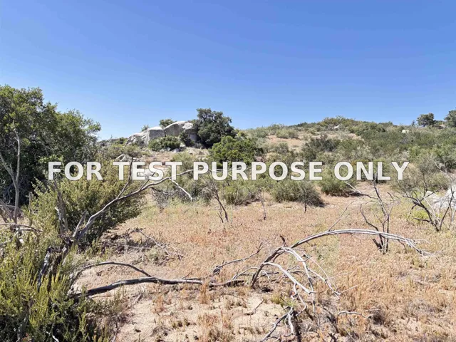 Demo/Test Data 38430 Lilac Ln. Unit 1, Boulevard, CA 91905
