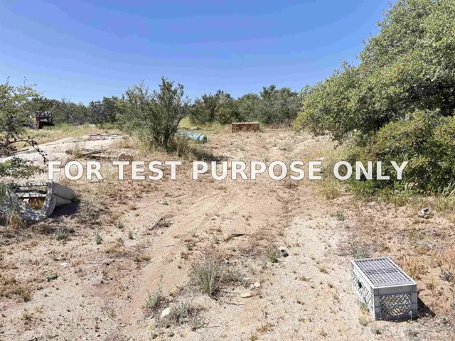Demo/Test Data 38430 Lilac Ln. Unit 1, Boulevard, CA 91905