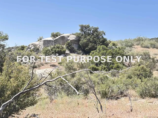 Demo/Test Data 38430 Lilac Ln. Unit 1, Boulevard, CA 91905