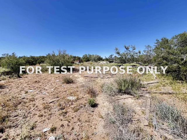 Demo/Test Data 38430 Lilac Ln. Unit 1, Boulevard, CA 91905