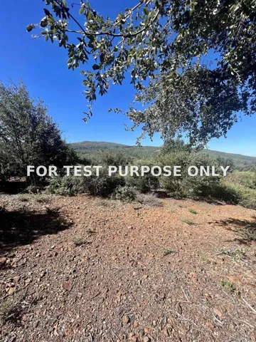 Demo/Test Data 000 Toyon Mountain Ln Unit 14, Julian, CA 92036