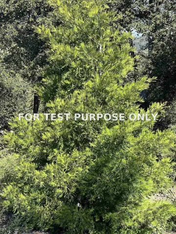 Demo/Test Data 000 Toyon Mountain Ln Unit 14, Julian, CA 92036