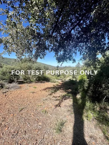 Demo/Test Data 000 Toyon Mountain Ln Unit 14, Julian, CA 92036