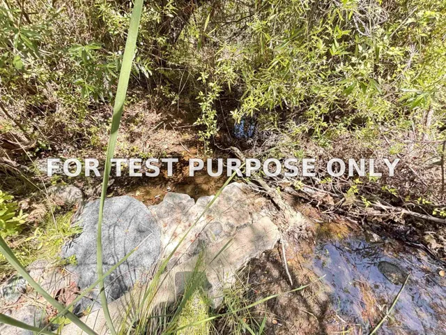 Demo/Test Data 222444 Hwy 94 Unit 1, Dulzura, CA 91917