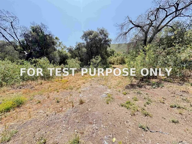 Demo/Test Data 222444 Hwy 94 Unit 1, Dulzura, CA 91917