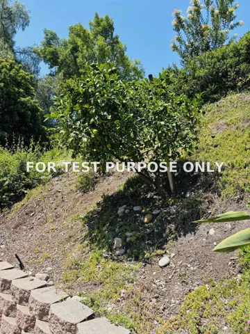Demo/Test Data 9956 Courtyard Drive, San Diego, CA 92131