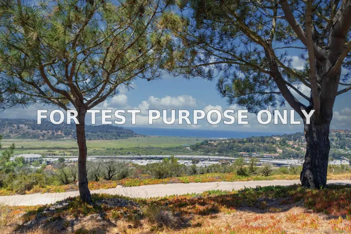 Demo/Test Data 3811 Via Del Mar, San Diego, CA 92130