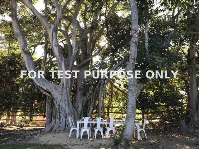 Demo/Test Data 1602 Burgundy Rd, Encinitas, CA 92024