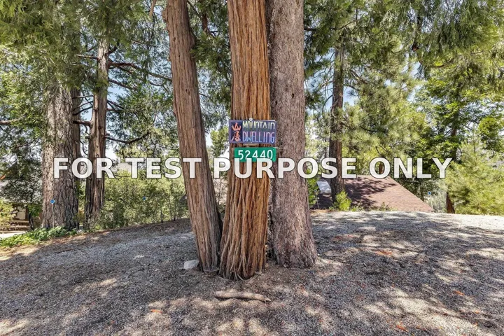 Demo/Test Data 52440 Double View Drive, Idyllwild, CA 92549