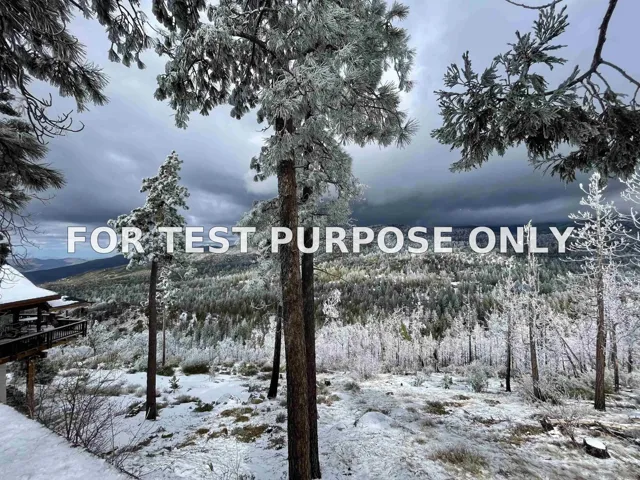 Demo/Test Data 52440 Double View Drive, Idyllwild, CA 92549