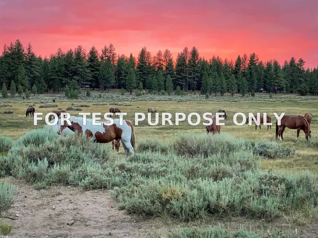 Demo/Test Data 34300 Holcomb Valley Road Unit Multiple, Fawnskin, CA 92333