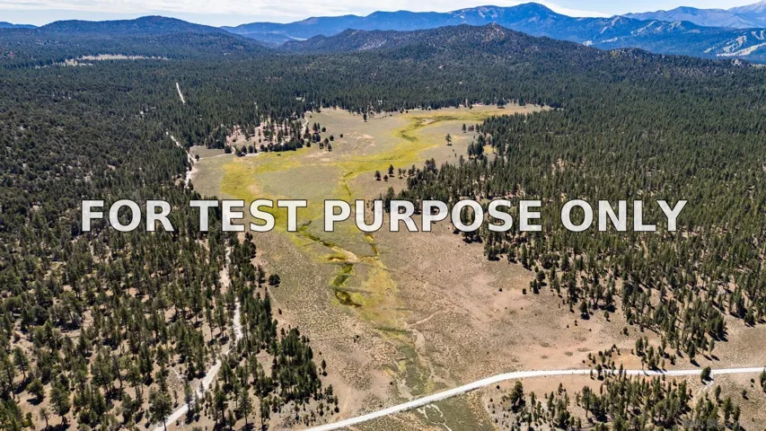 Demo/Test Data 34300 Holcomb Valley Road Unit Multiple, Fawnskin, CA 92333
