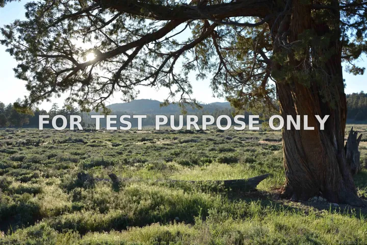 Demo/Test Data 34300 Holcomb Valley Road Unit Multiple, Fawnskin, CA 92333
