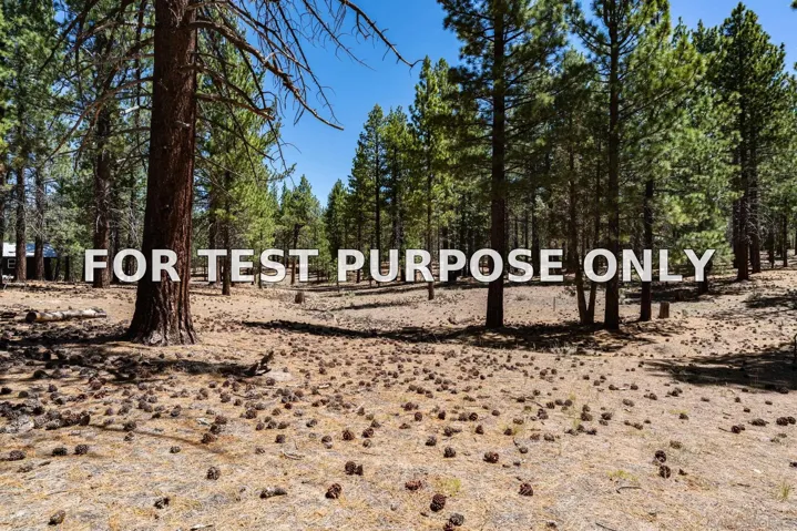 Demo/Test Data 34300 Holcomb Valley Road Unit Multiple, Fawnskin, CA 92333