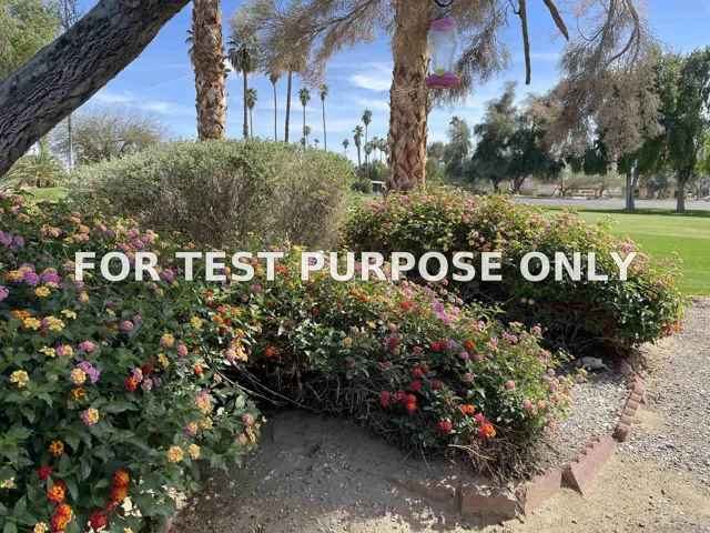 Demo/Test Data 1010 Palm Canyon Dr Unit 167, Borrego Springs, CA 92004